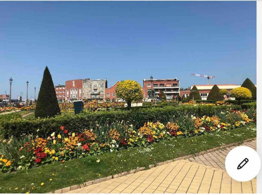 Appartamento Casa Inca Calais - Duplex Soleil Latino - Parking Free, Station Esterno foto